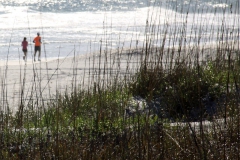 Sea oats and couple jogging on beach