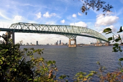 Hart Bridge extending over St. Johns River